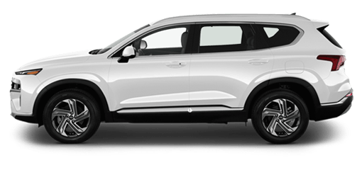 Budget Car Rental in Taupo Airport (TUO) Other type