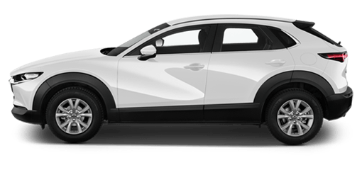 Budget Car Rental in Taupo Airport (TUO) Other type