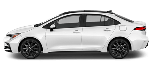 Budget autorent: Deer Lake'i lennujaam Muud tüüpi Budget autorent: Deer Lake'i lennujaam Muud tüüpi