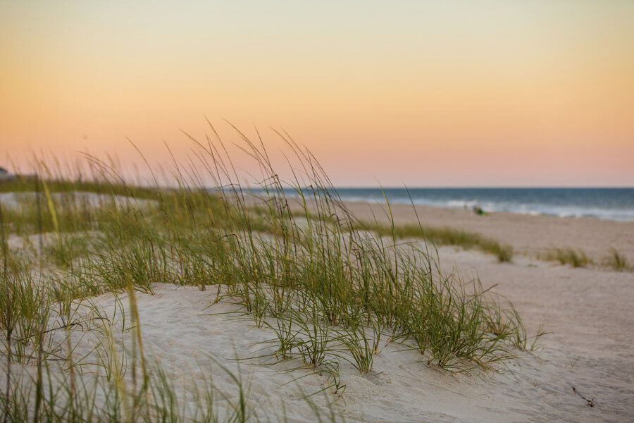 Pack your bags and head to Florida starting at just $22.99/day! Pack your bags and head to Florida starting at just $22.99/day!