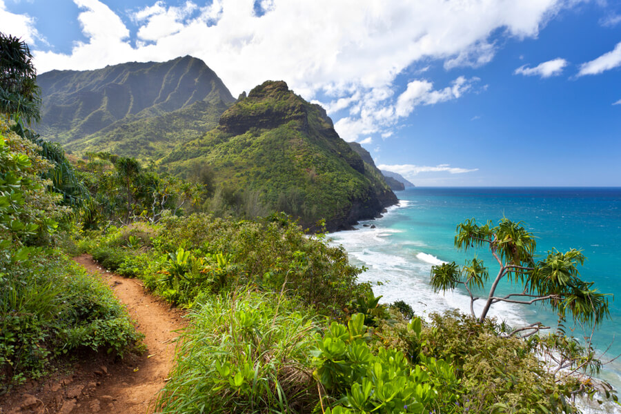 Road Trip Through Kauai Island