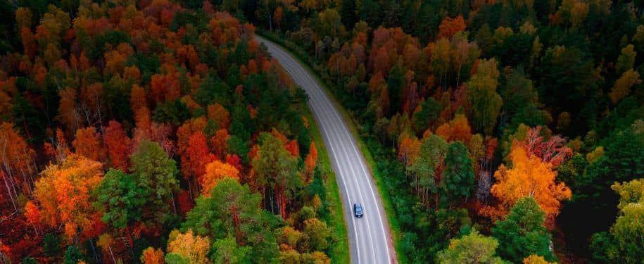 Budget Rent A Car