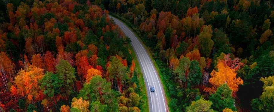 Budget Rent A Car